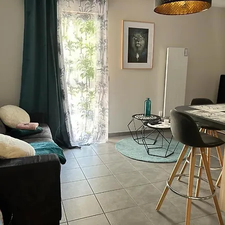 Apartment Elegant 45 M2 6 + Garage. Idealement Situe Lyon
