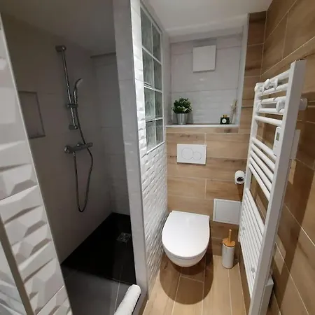 Pentes De La Croix-rousse Le D'or Apartment *