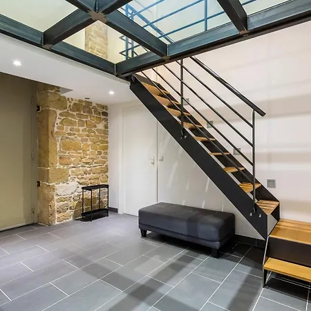 Charlie-meublee De Gamme-duplex-260m2-lyon 1 Apartment