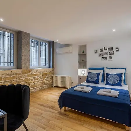 Apartment Charlie-meublee De Gamme-duplex-260m2-lyon 1 *