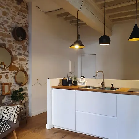Le Jardin Suspendu Vieux-lyon - Option Garage Apartment