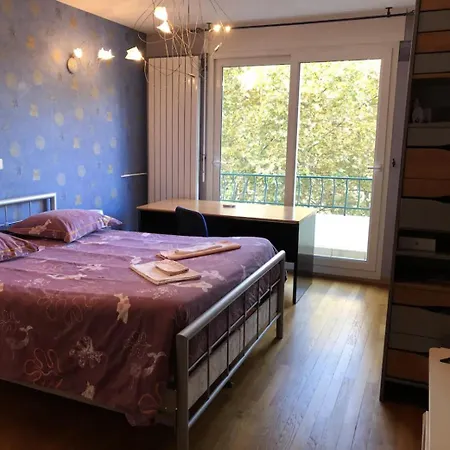 Apartment Avec Vue Sur Le Parc De La Tete D'or Lyon