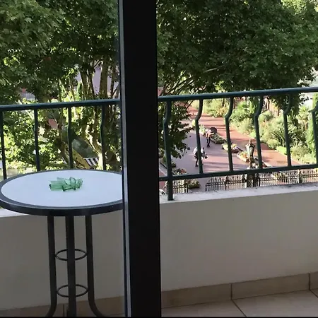 Apartment Avec Vue Sur Le Parc De La Tete D'or *