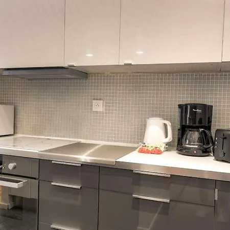 Bel Spacieux, Climatise - Centre Apartment Lyon