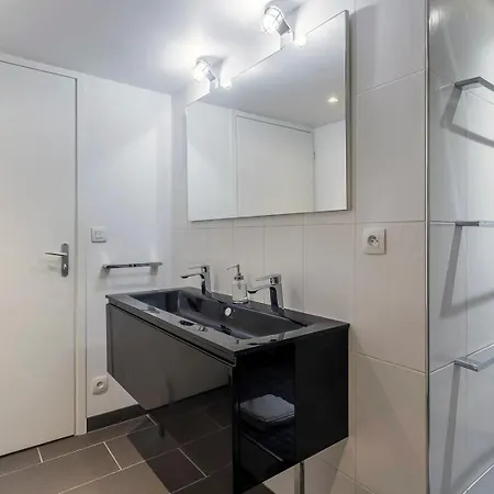 Apartment Charlie-meublee De Gamme-duplex-260m2-lyon 1