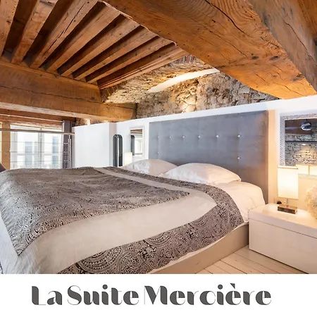 Apartment Le Carre Merciere , De Luxe Au Coeur De Lyon, Loft Et Lyon