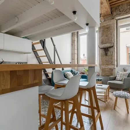 Burdeau 1st Arrondissement Apartment Lyon