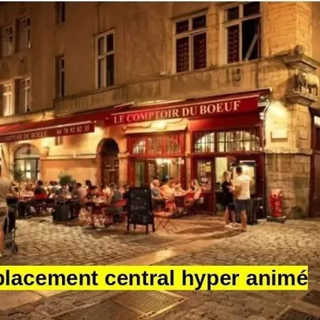 La Cachette St Jean, Calme Et Serenite Vieux * Lyon