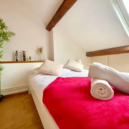 Bngo I Le Spacieux I 9 Personnes, Climatisation, Parking Gratuit, 3 Chambres, 6 Lits, Gare Partdieu, Centre De Lyon