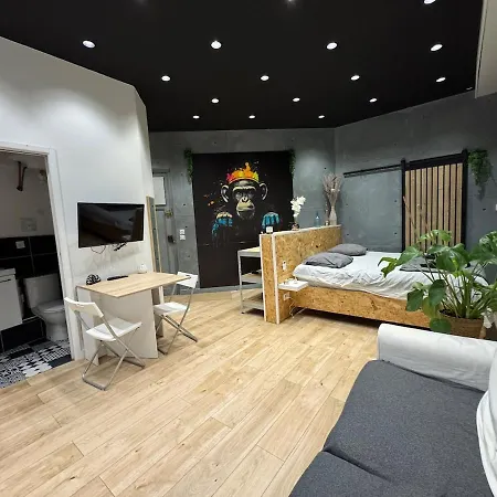 Jungle With Breakfast And Video Projector Apartment Lyon