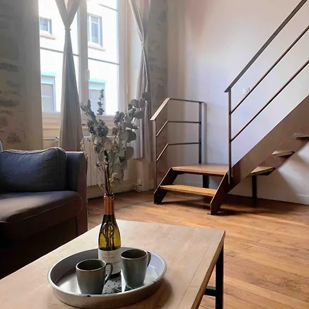 Cozy Loft Center Croix-rousse Appartement *