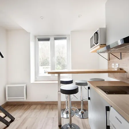 Apartment Duplex Renove Parking Gratuit 9 Lyon