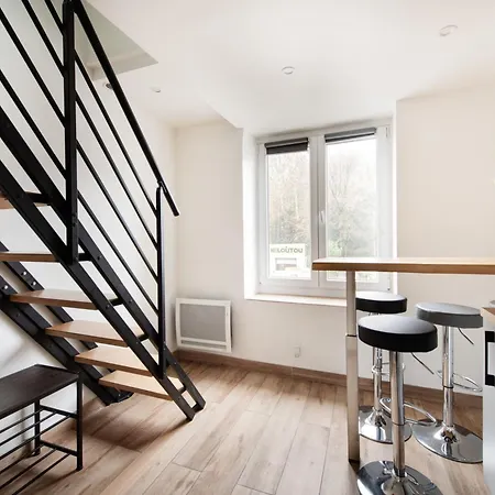 Duplex Renove Parking Gratuit 9 Apartment Lyon