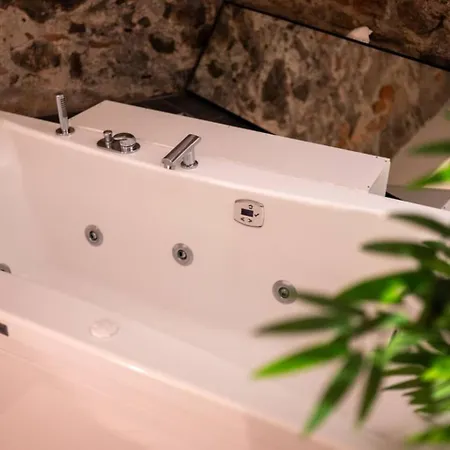 Appartement Royal Et Balneo Privatif Lyon