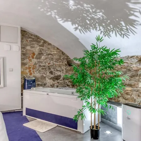 Royal Et Balneo Privatif Appartement Lyon