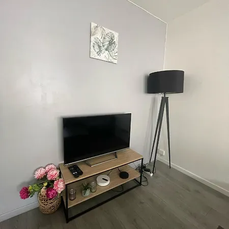 & Cosy, Charcot- Wifi - Lave Linge - Balcon - Parking Apartment Lyon