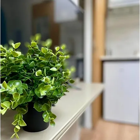 Appartement Le Petit Rome Proche Gare Lyon