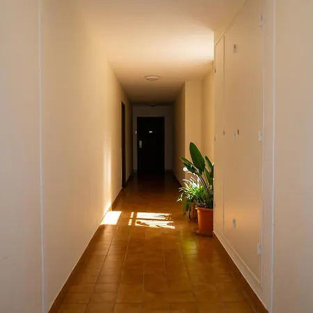 Appartement Vue Sur La Saone *