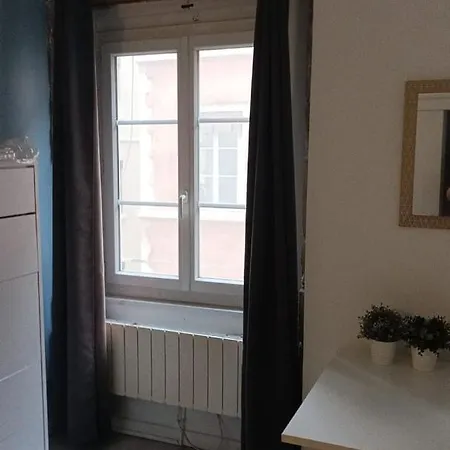 Apartment Le Coysevox - Joli Confort Pentes De La Croix Rousse Lyon