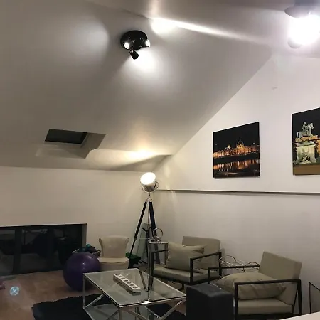 Loft 90m2 Avec Chauffe Unique A Holiday home Lyon