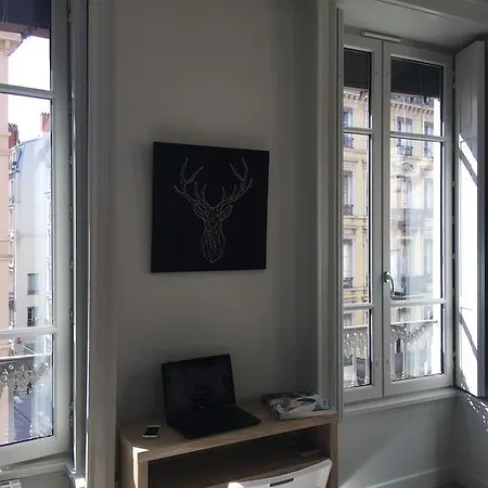 Celect'in Apartamento Lyon