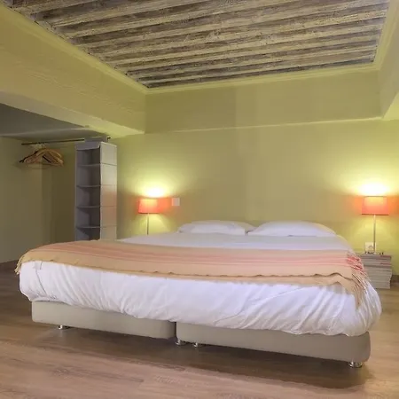 Hotell Riva Lofts And Suites Lyon