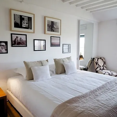 Riva Lofts And Suites