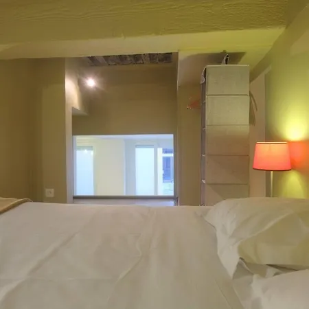 Riva Lofts And Suites 2* Lyon