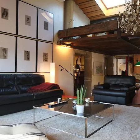 Riva Lofts And Suites 2* Lyon