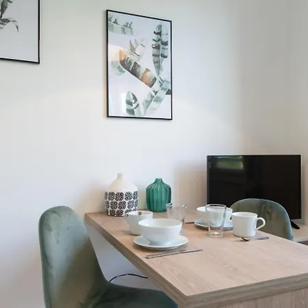 Le Berliet - Montplaisir Apartment *