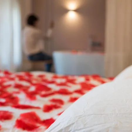 Mihotel Sala Hotel Lyon