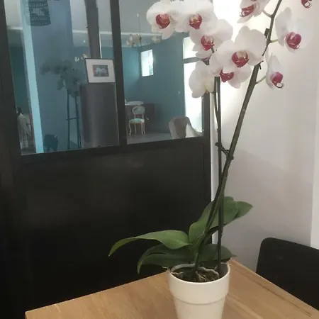 Oda ve Kahvaltı La Maison Prune