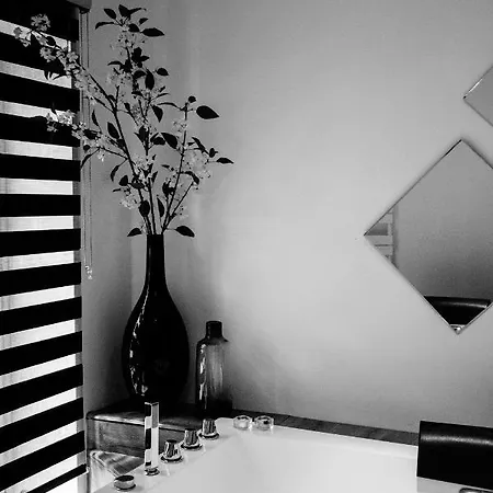 Les Nébuleuses Appartement Lyon