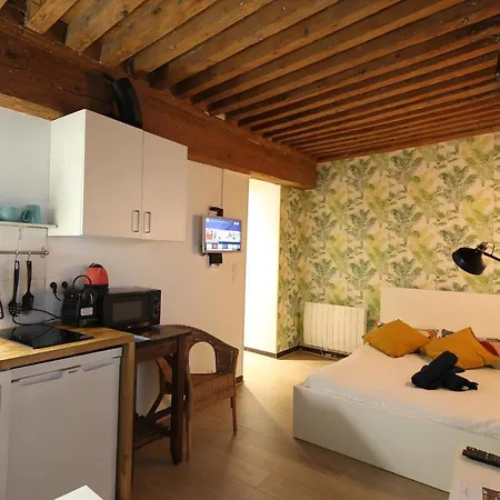 Charming Centre-ville De Appartement