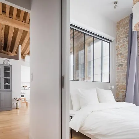 Appartamento Orpi Garet8, Loft Hyper Centre Opéra Terreaux Lione