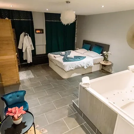 Cosy Avec Sauna Et Privatifs Lejlighed