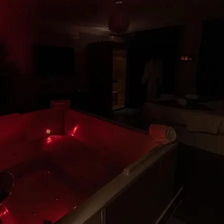 Lejlighed Cosy Avec Sauna Et Privatifs Lyon