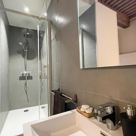 Gasthuis Coeur Vieux Lyon, 60 M2 Lumineux Confort Lyon
