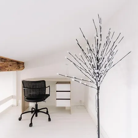 Bnbgones - Le Saint Vincent- Hypercentre Wifi Netflix Appartement