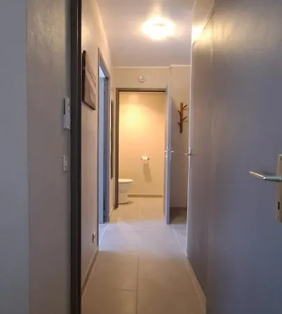 Appartement T2 Standing Confort Avec Balcon - Parking En Option Lyon