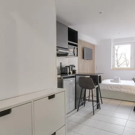 Cosy Ideal Deplacement Pro Wifi Tres Debit Lyon