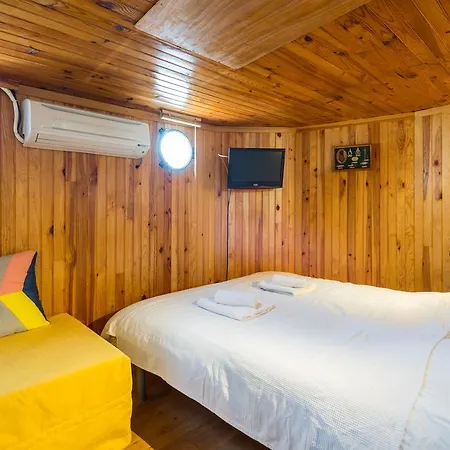 Bådhotel La Peniche Sur La Saone *