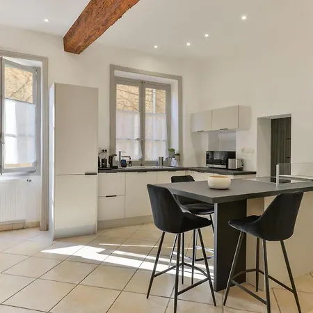 Beau Duplex Avec Jardin Et Vue リヨン