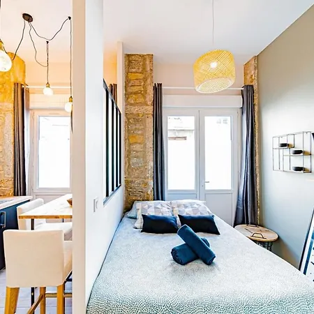Le Petit Reinach -appartement Cosy-saxe-gambetta Lione