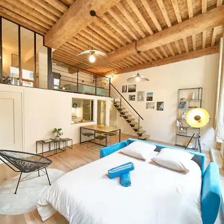 Appartement Le Chartreux -canut Lyonnais -croix Rousse Lyon