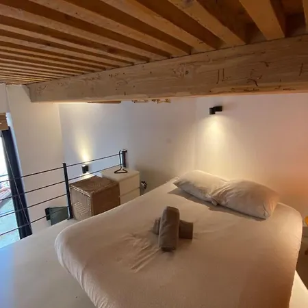 Appartement Charming With Exposed Beams Ainay District *