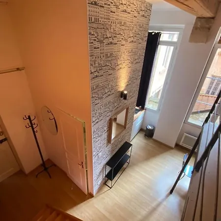 Appartement Charming With Exposed Beams Ainay District