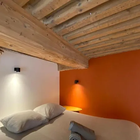 Charming With Exposed Beams Ainay District Appartement
