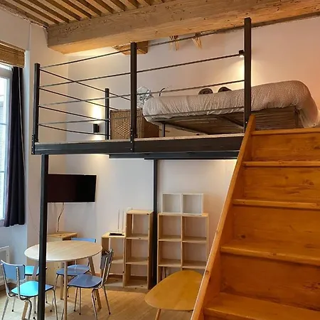 Appartement Charming With Exposed Beams Ainay District *