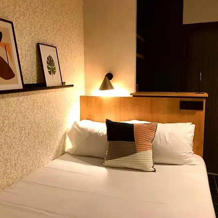 酒店 共和酒店 3*